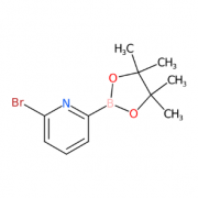 6-Bromopyridine-2-boronic acid pinacol ester | 651358-83-7